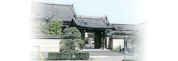 日蓮宗 妙蓮寺の外観